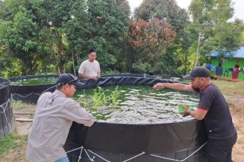 Urgensi kemandirian sipil di tengah gejolak global dan bencana lokal