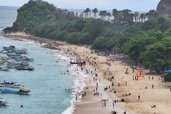 Pemkab Jember terapkan tiket integrasi Papuma-Watu Ulo mulai 2 Januari