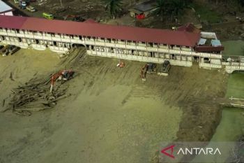 Tamiang, awal peradaban Melayu yang ditenggelamkan lumpur