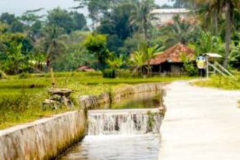 Mentan: Percepatan Irigasi Pertanian Jadi Fondasi Swasembada Beras RI