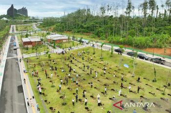 OIKN ajak masyarakat tanam pohon di kawasan IKN