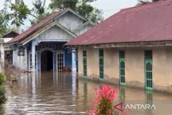 Pemkot Bengkulu dirikan tenda pengungsian bagi warga terdampak banjir
