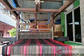 Pemkot Samarinda perkuat perlindungan identitas bangsa melalui budaya lokal