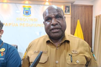 Pemprov pastikan percepatan ekonomi di Papua Pegunungan 2026