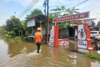Banjir masih genangi ribuan rumah di dua kecamatan, Pasuruan