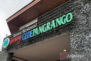 TNGGP menempatkan puluhan petugas di jalur pendakian Gunung Gede