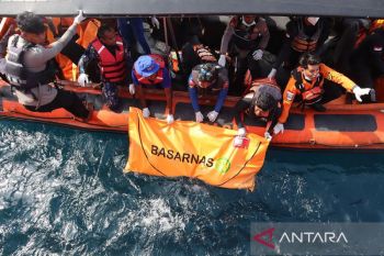 Lawmaker calls for overhaul of tourism safety standards