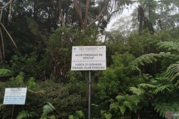 7.367 orang tercatat mendaki Gunung Dempo sepanjang tahun 2025