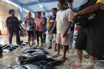 DKP Papua targetkan produksi perikanan 230 ribu ton pada 2026