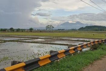 BPS sebut nilai tukar petani Lampung naik 0,64 persen pada Desember 2025