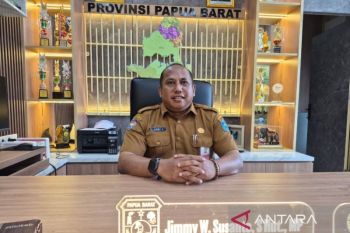 Perluasan kebun sawit di Papua Barat harus disetujui masyarakat adat