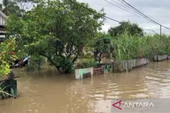 Pemkot Bengkulu catat 696 KK terdampak banjir