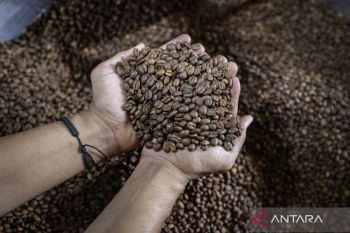 Dari komitmen ke dampak: hilirisasi yang membumi