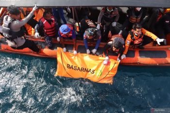 Lawmaker calls for overhaul of tourism safety standards