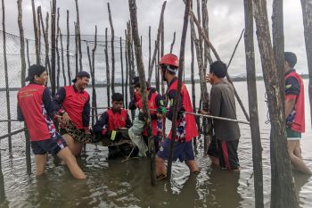 Disdamkarkat Natuna evakuasi buaya dari kelong