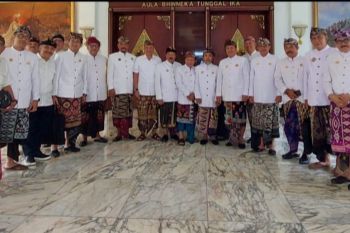 Penglingsir Puri tagih janji realisasi Bandara Bali Utara