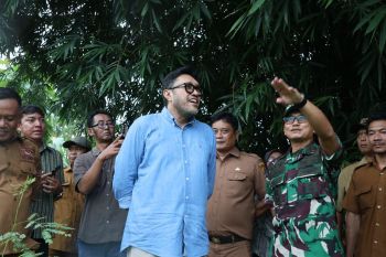 DPRD soroti indikasi sebaran lahan sawit di Jabar hingga 4.000 hektare