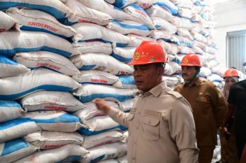 Bupati pastikan persediaan pupuk di Aceh Besar tercukupi