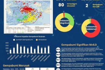 BMKG catat ada 2.788 kejadian gempa bumi guncang Maluku sepanjang 2025