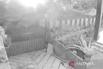 PVMBG : Dentuman dan kilatan cahaya fenomena atmosfer dan geofisika