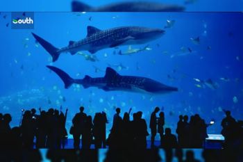 Kishore Mahbubani: Zhuhai reveals vision for future city