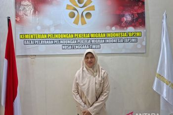 BP3MI NTT tempatkan 4.163 pekerja migran tahun 2025