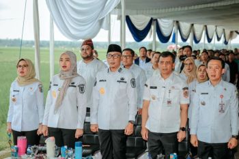 Gubernur Lampung: Produksi padi bisa naik 15-20 persen pada 2026