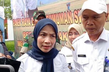 Pemkab Serang terjunkan BPBD, TNI, dan Polri tangani longsor Padarincang