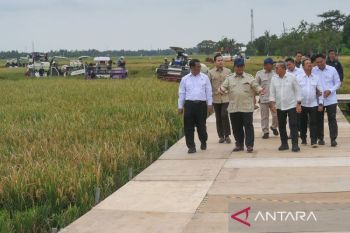 Prabowo hadiri panen raya di Karawang, umumkan swasembada pangan