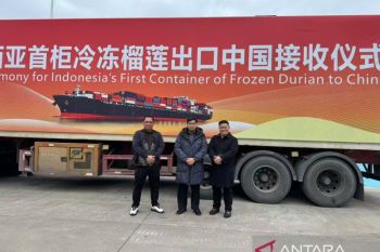 Durian beku Indonesia resmi beredar di pasar China