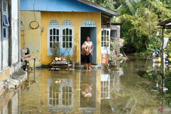 BPBD Tanjungpinang tingkatkan kesiapsiagaan hadapi rob