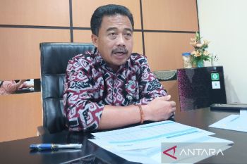 Bulog Papua beli 22.206 ton beras petani Merauke pada 2025