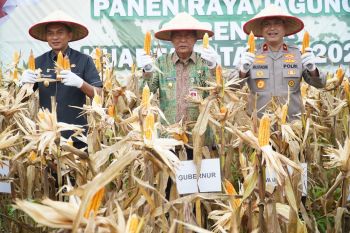 Pemprov Jambi komitmen dukung kedaulatan pangan daerah dan nasional