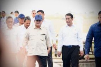 Bapanas: Surplus Beras Naik 243 Persen Saat RI Swasembada