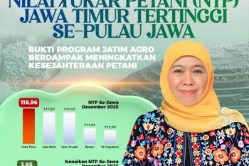 Gubernur Khofifah: NTP Jatim tertinggi di Jawa pada Desember 2025