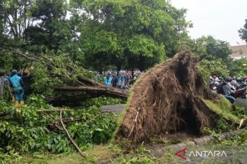 Tiga penerbangan ke Juanda dialihkan ke Semarang akibat angin kencang