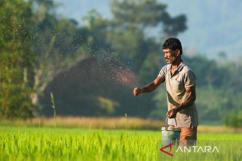 Pemkab Sukamara bantu petani optimalkan masa tanam Okmar