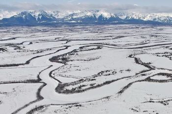 Pakar meminta dunia serius menyikapi ancaman Trump soal Greenland