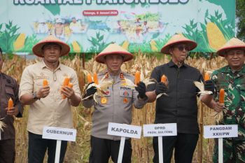Polda panen jagung di lahan 12,5 hektare dukung ketahanan pangan