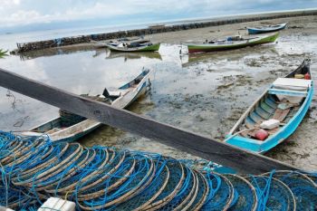 Pemerhati lingkungan: Masalah kepulauan perlu penanganan holistik