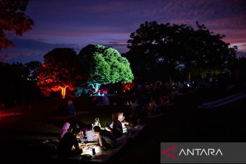 Pertunjukan video mapping Pohon Mendongeng