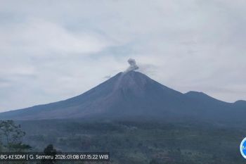 Indonesia's Mount Semeru erupts again, ash column reaches 700 Meters