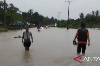 BPBD Bangka membantu masyarakat tangani dampak banjir