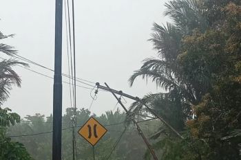 PLN UIW MMU gerak cepat penormalan listrik sejumlah lokasi di Ambon akibat cuaca ekstrem