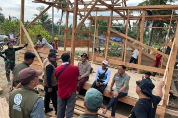 Kemenhut: Ratusan kayu terseret banjir siap dipakai warga terdampak bencana di Aceh dan Sumut