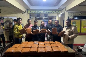 Polres Sarolangun gagalkan peredaran 42 kg ganja lintas provinsi