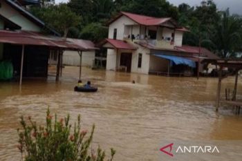 BNPB imbau agar tingkatkan kesiapsiagaan hadapi banjir dan longsor di Melawi Kalbar