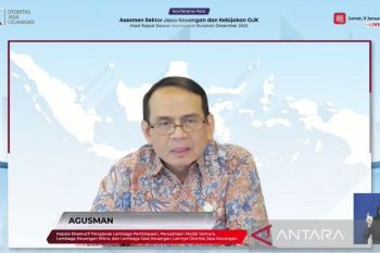 OJK: Pembiayaan pinjaman daring tumbuh 25,45 persen per November 2025