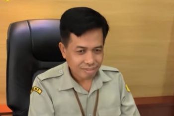 BRMP Maluku perkuat sistem pertanian untuk tingkatkan produksi beras