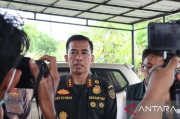 BKHIT Maluku kampanyekan aplikasi SSMQC untuk pengajuan ekspor